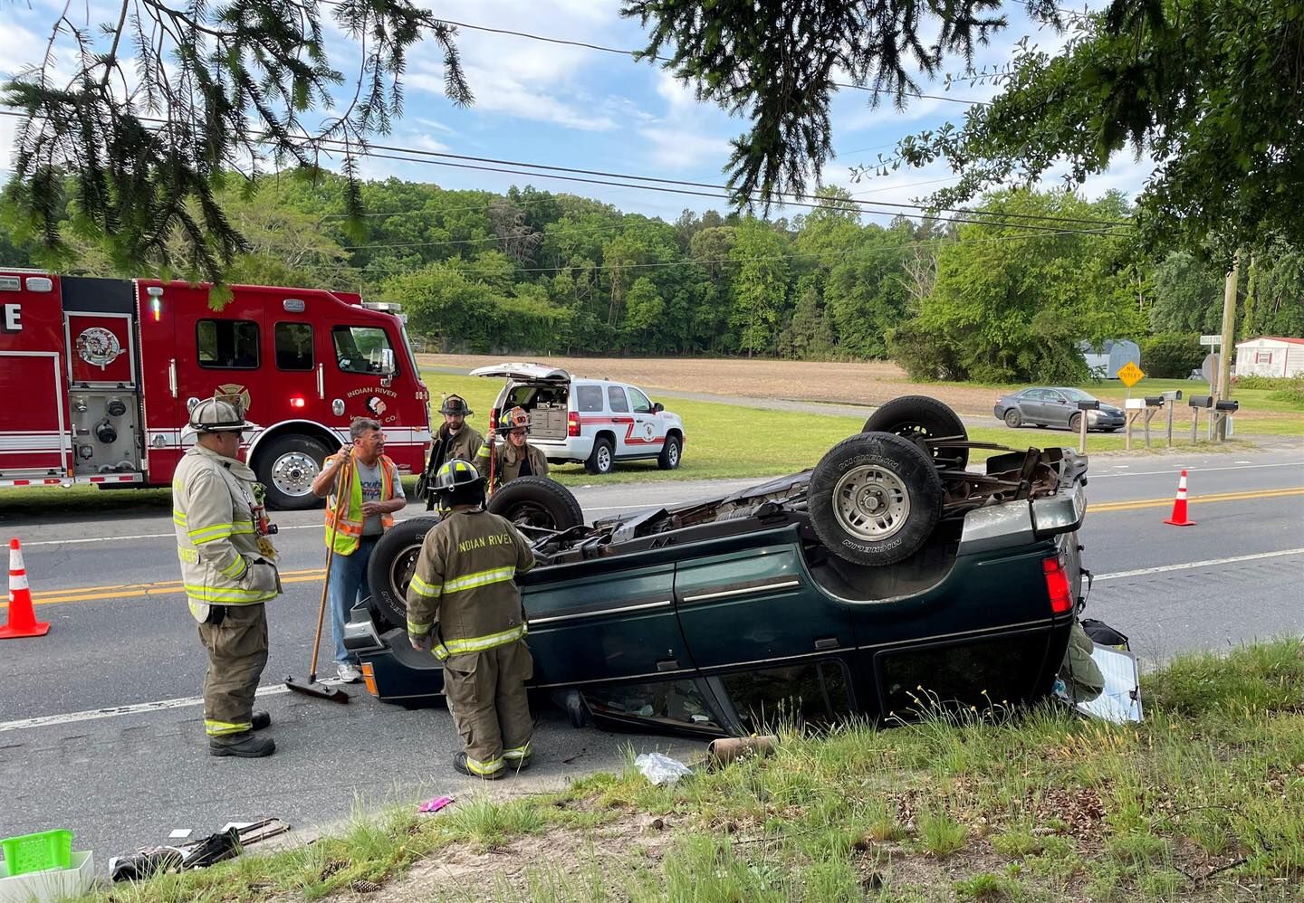 Route 24 rabbit crash 2